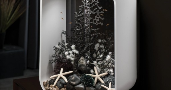 Life 45 Room-600x315w.jpg